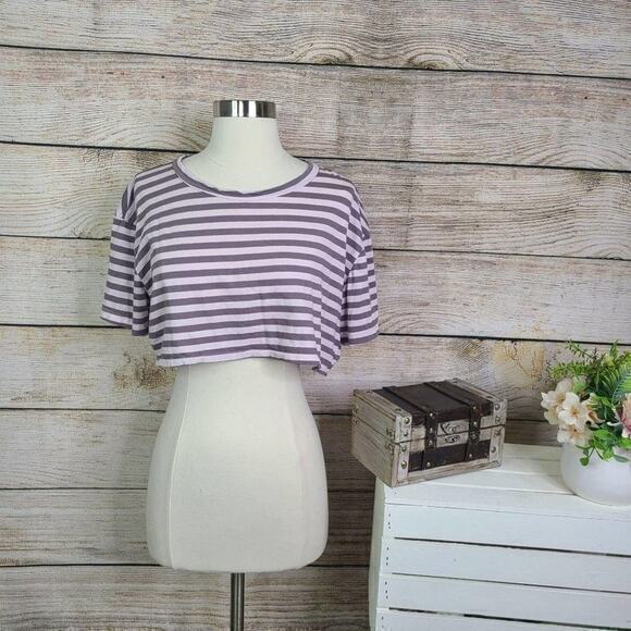 NWT LF Emma & Sam Pink and Grey Striped Crop Top - Picture 1 of 8